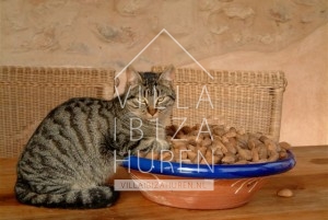Villa Santa Gertrudis Ibiza huren