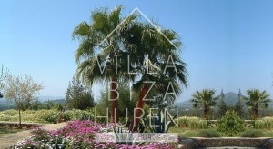 Villa Santa Gertrudis Ibiza huren