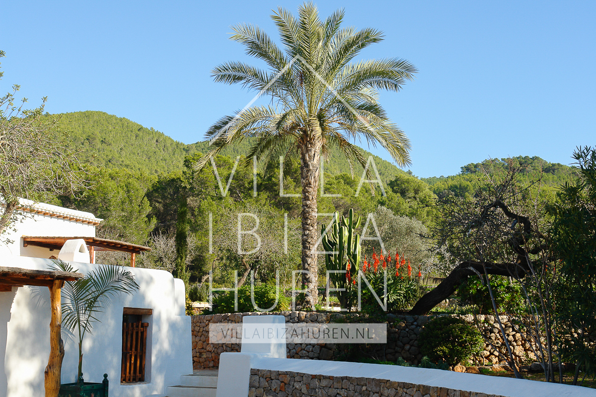 Villa Ibiza Huren