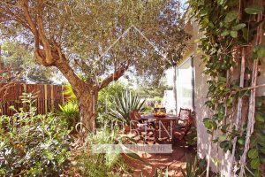 Villa Ibiza Huren